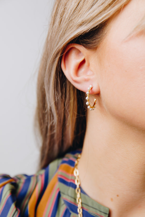 309 earring